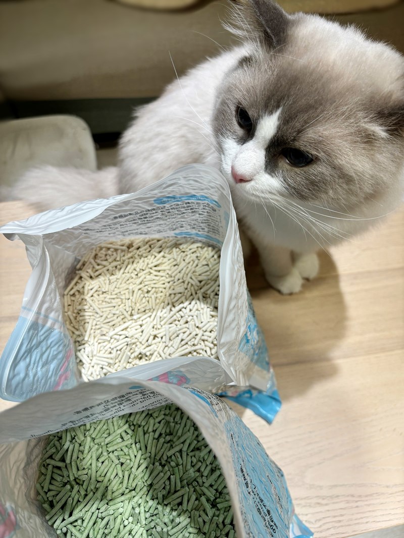 試用